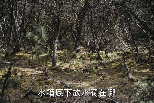 水箱底下放水阀在哪