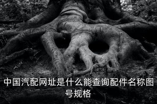 中国汽配网址是什么能查询配件名称图号规格