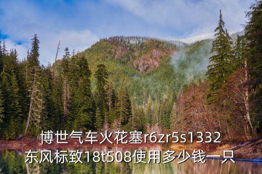博世汽车火花塞多少钱，博世气车火花塞r6zr5s1332东风标致18t508使用多少钱一只
