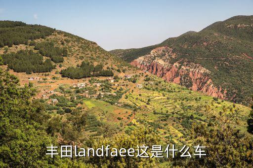 丰田landfaee这是什么车
