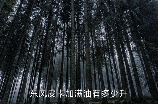 东风皮卡加满油有多少升
