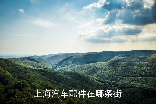 上海汽车配件在哪条街