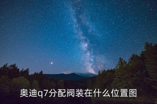 奥迪q7分配阀装在什么位置图