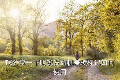 TX分享一下明锐发动机盖棱标记如何使用