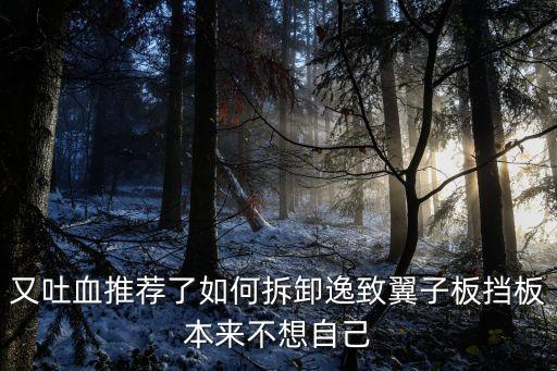 又吐血推荐了如何拆卸逸致翼子板挡板本来不想自己