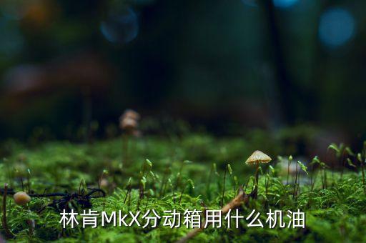 分动箱用什么油好，特拉卡车分动箱应该加什么油