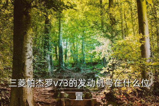 三菱帕杰罗的发动机号在什么位置，三菱帕杰罗v73的发动机号在什么位置