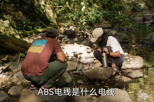 abs线束是什么，帕拉丁有几种ABS线束