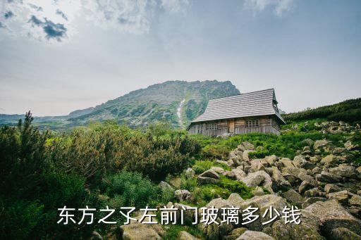 东方之孓左前门玻璃多少钱