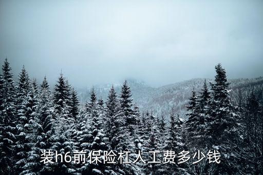 哈弗h6前护杠多少钱，装h6前保险杠人工费多少钱