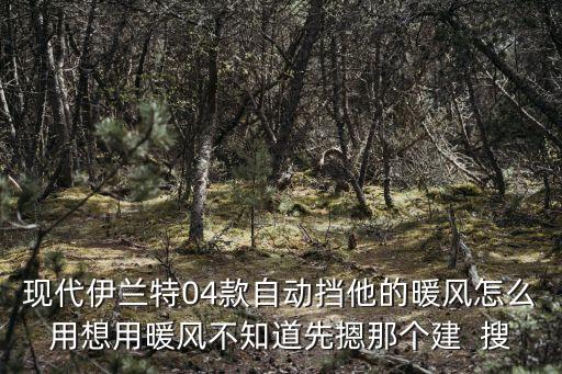 现代伊兰特04款自动挡他的暖风怎么用想用暖风不知道先摁那个建  搜