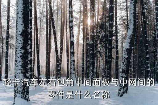 轻卡汽车左右包角中间面板与中网间的零件是什么名称