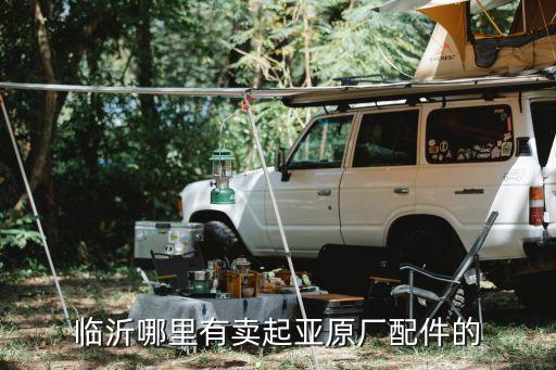 临沂哪里有卖起亚原厂配件的
