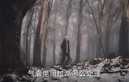 气囊电阻过高怎么处理