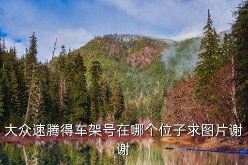 大众速腾得车架号在哪个位子求图片谢谢