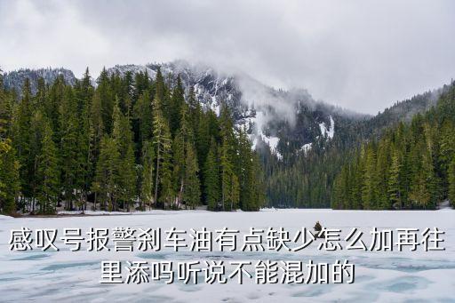 感叹号报警刹车油有点缺少怎么加再往里添吗听说不能混加的