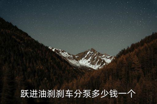跃进油刹刹车分泵多少钱一个