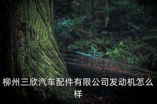 柳州三欣汽车配件有限公司发动机怎么样