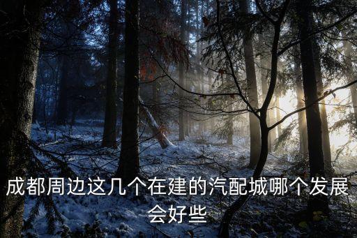 成都周边这几个在建的汽配城哪个发展会好些
