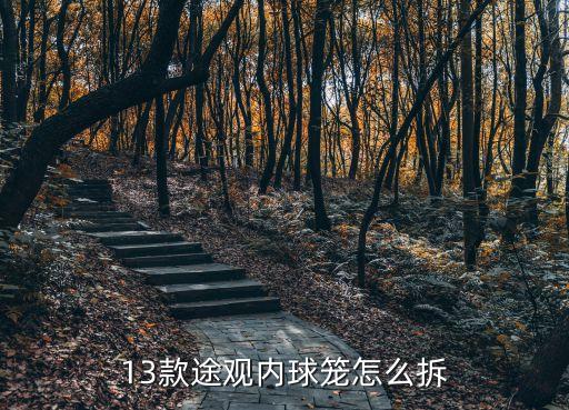 13款途观内球笼怎么拆