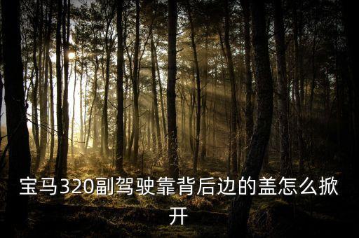 宝马320副驾驶靠背后边的盖怎么掀开