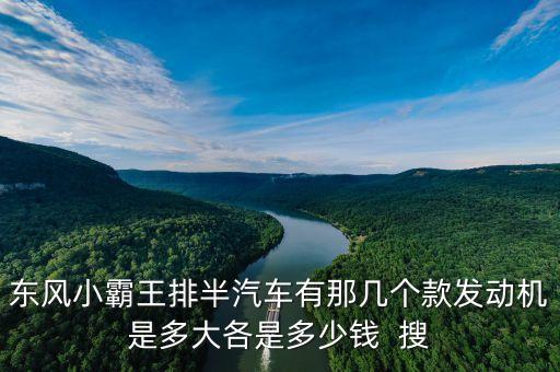 东风小霸王排半汽车有那几个款发动机是多大各是多少钱  搜