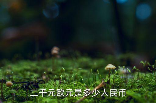 二千元欧元是多少人民币