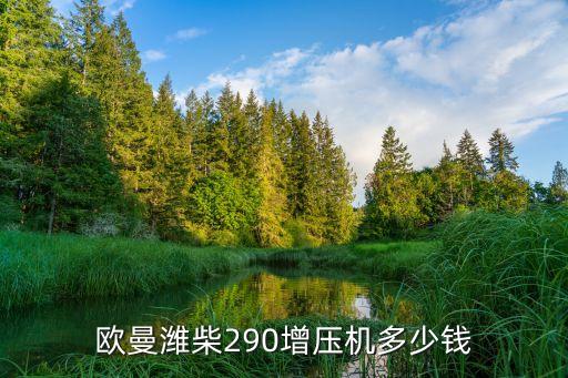 维柴290增压机原厂多少钱，潍柴发动机 290 价格