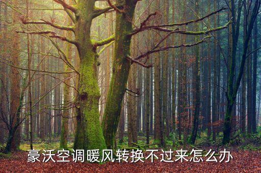 豪沃空调暖风转换不过来怎么办