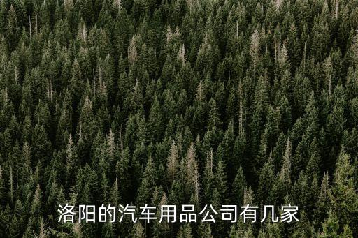 洛阳的汽车用品公司有几家