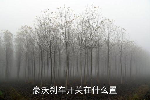 豪沃刹车开关在什么置