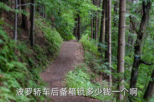 波罗轿车后备箱锁多少钱一个啊