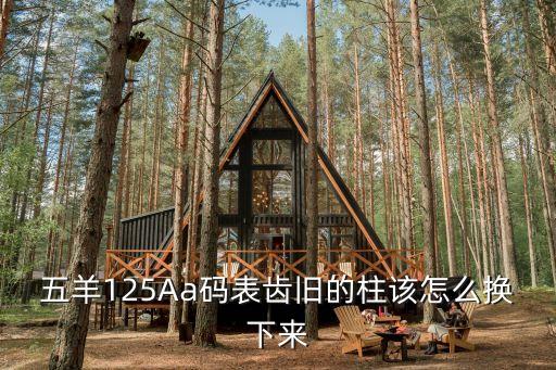 五羊125Aa码表齿旧的柱该怎么换下来