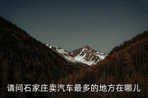 请问石家庄卖汽车最多的地方在哪儿