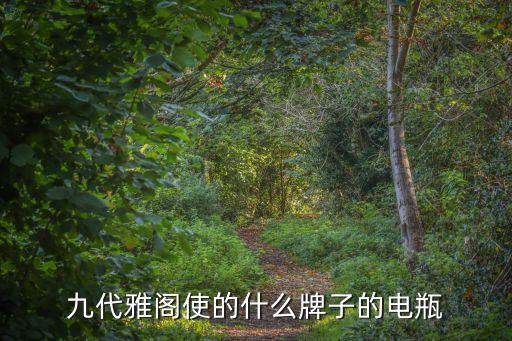 九代雅阁使的什么牌子的电瓶