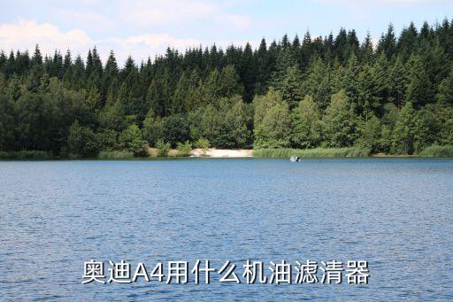 奥迪A4用什么机油滤清器