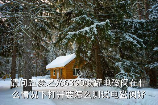 请问五菱之光6390碳罐电磁阀在什么情况下打开要怎么测试电磁阀好