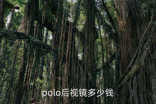 大众polo左后视镜多少钱，换个POLO的反光镜要多少钱