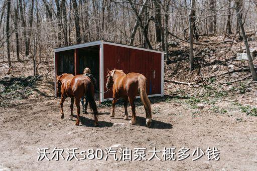沃尔沃s80汽油泵大概多少钱