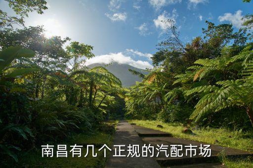 南昌有几个正规的汽配市场