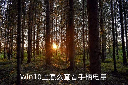 Win10上怎么查看手柄电量