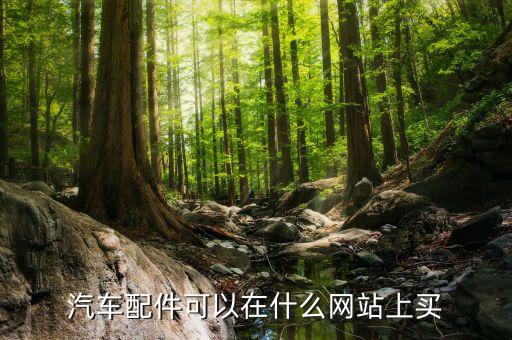 汽车配件可以在什么网站上买