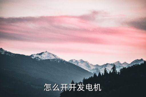 怎么开开发电机