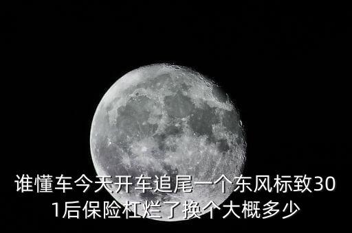 谁懂车今天开车追尾一个东风标致301后保险杠烂了换个大概多少