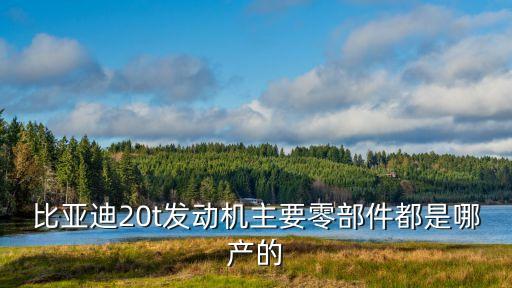 比亚迪20t发动机主要零部件都是哪产的