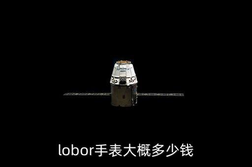 lobor手表大概多少钱