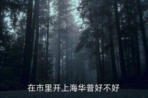 在市里开上海华普好不好