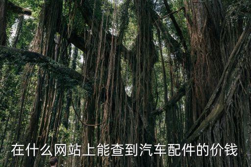 在什么网站上能查到汽车配件的价钱