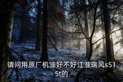瑞风原厂机油如何，瑞风原厂机油是什么级别的