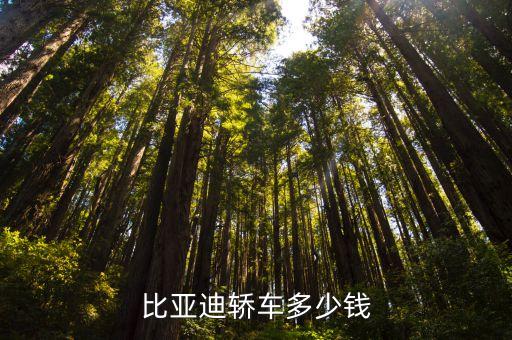 比亚迪轿车多少钱